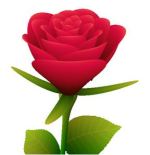 Une rose en JavaScript Une rose en JavaScript