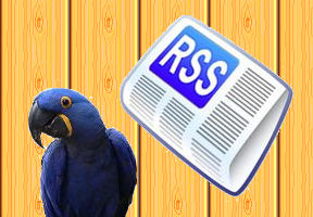 ARA RSS Editor