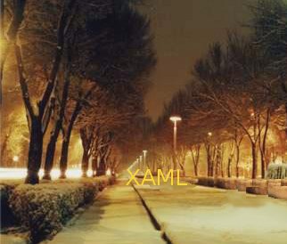 A road lit at night with the word XAML at the end