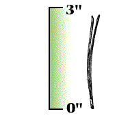 Short needles, less than 3 inches in length