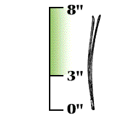 Long needles, from 3 to 8 inches in length