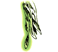 Fruit twisted